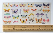 Violette Collection - CRYSTAL BUTTERFLIES & CATERPILLARS - Sheet Stickers #C242