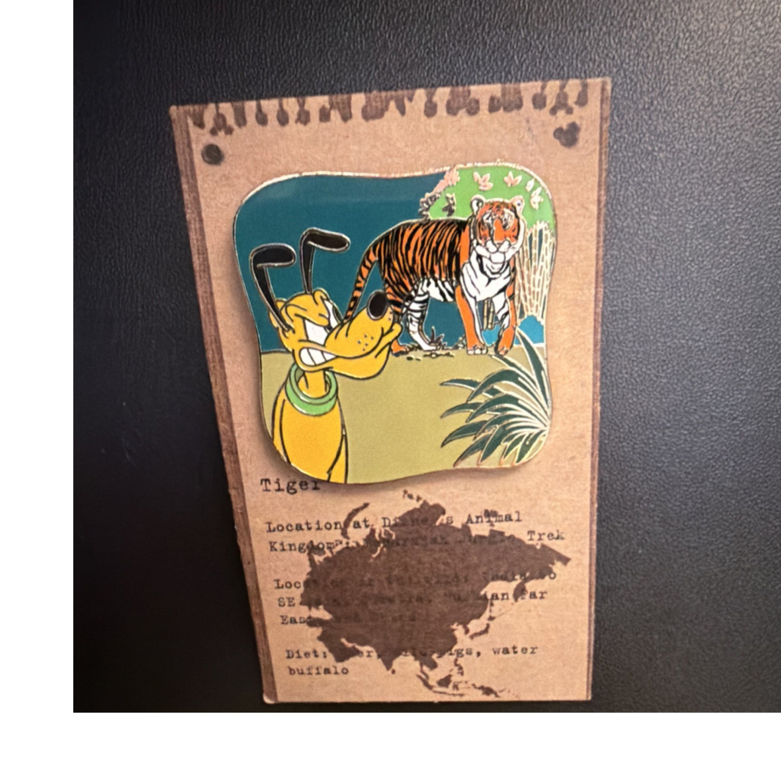 WDW - Pluto with Tiger - Animal Kingdom - Animals Mystery 2017