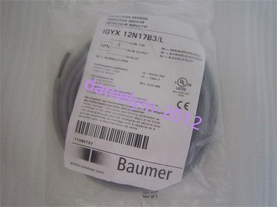 1  pcs  New Baumer IGYX 12N17B3/L *tn