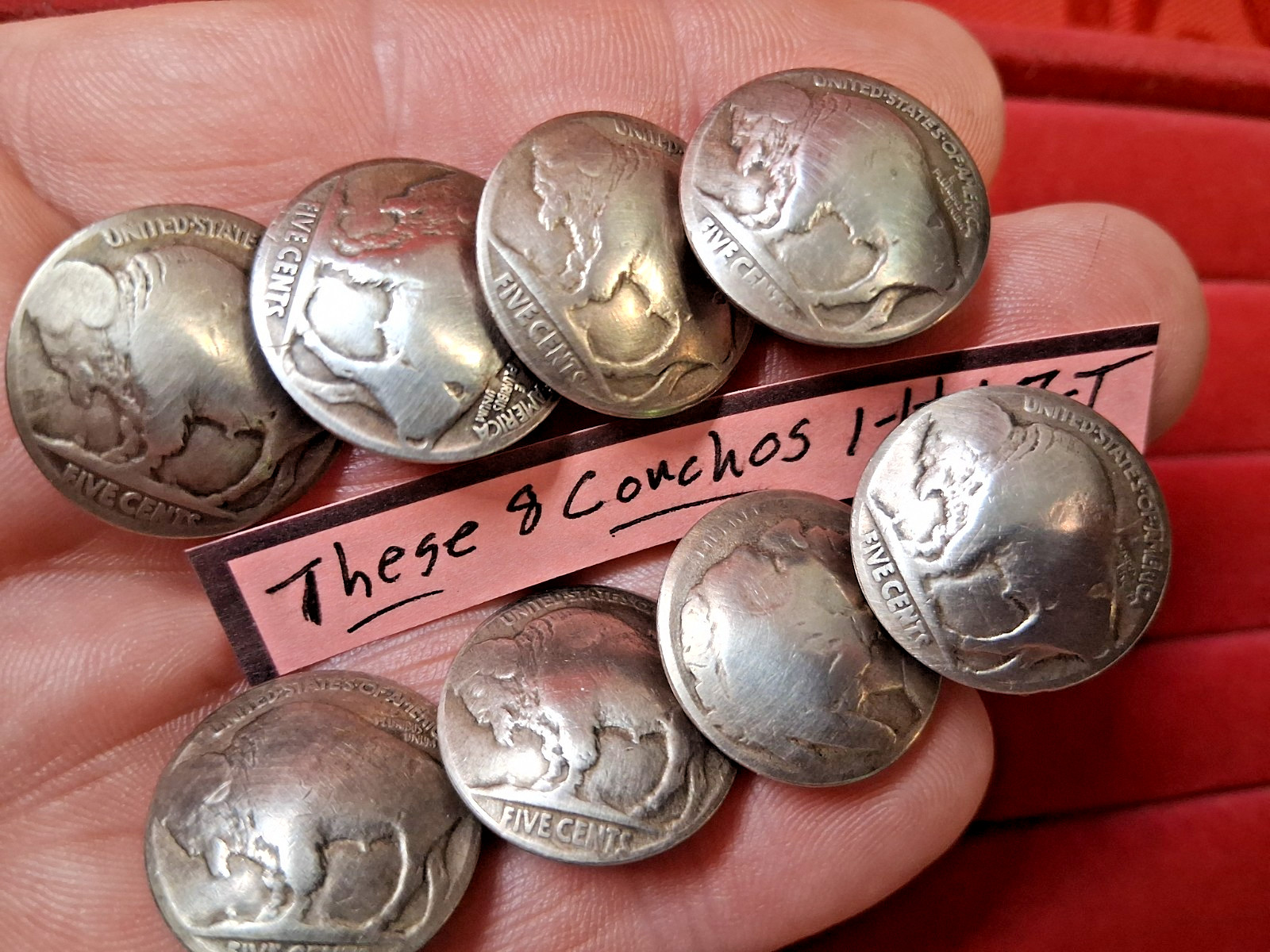 8 Genuine Old Buffalo Indian Head Nickel -Screw Back Concho Buttons Domed Coins