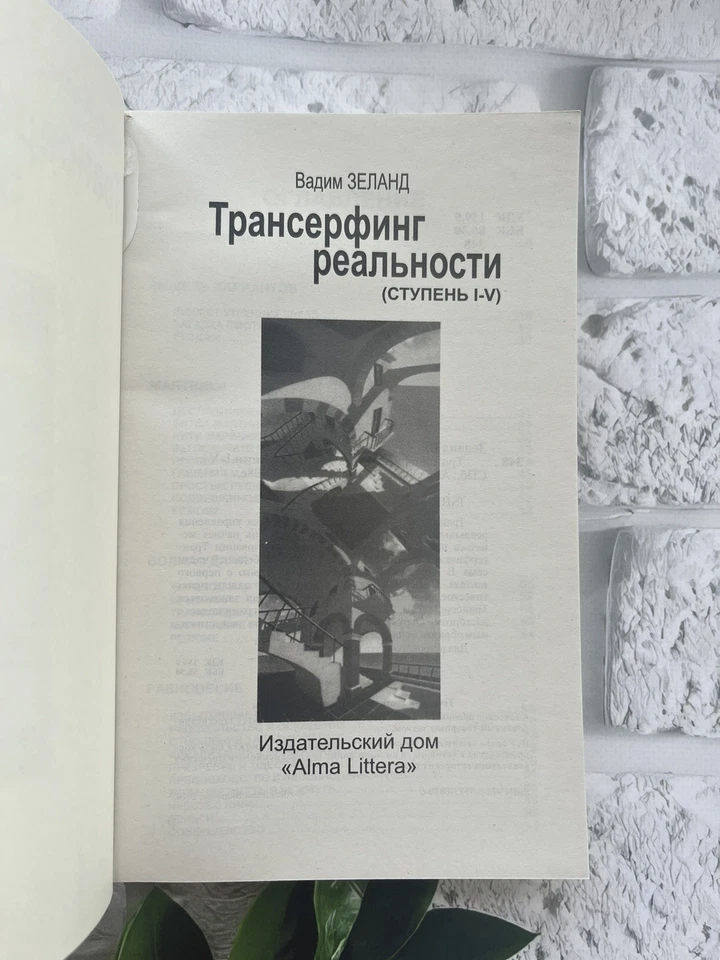 Вадим Зеланд Трансерфинг реальности 1-5 ступень Эзотерика Buch auf Russisch - Bild 4 von 4