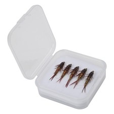 Lot de 5 leurres de p??che nymphe mouche pour la p??che en eau douce pour la p??