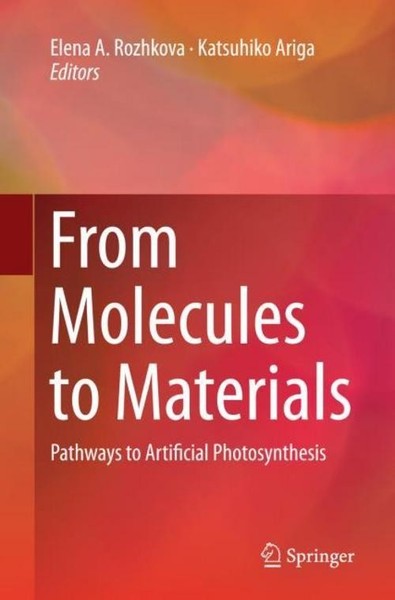 From Molecules To Materials Elena A. Rozhkova-image