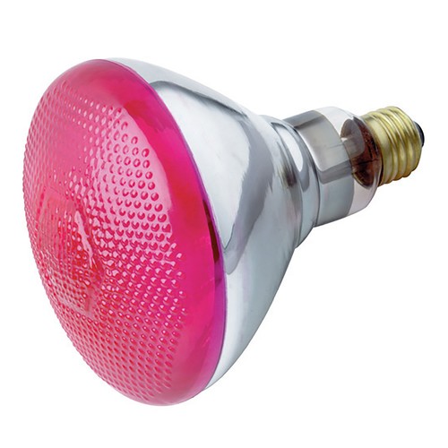 PINK Reflector Floodlight 100W BR38 120V Medium E26 Base 100BR38/PK - Picture 3 of 4