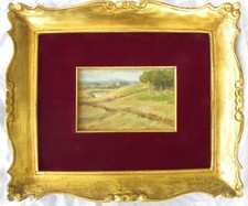 Campagna romana - dipinto Olio su cartone '800 ROMA a firma INDECIFRATA