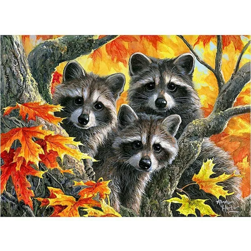 Paint By Numbers Adults kids Cute Raccoons DIY Painting Kit