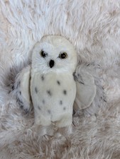 Douglas Owl