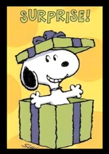 SURPRISE!! Present Birthday Party Snoopy  Charlie Brown -MAGNET