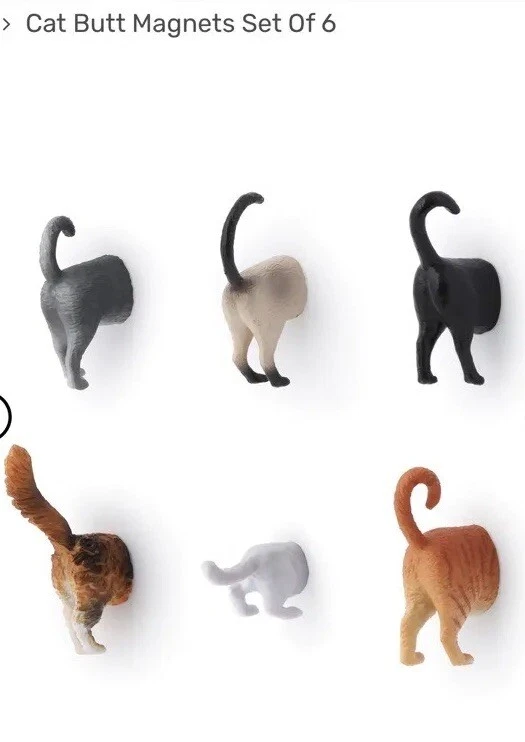 Juego de regalo 6 imanes de nevera Animal Cat Butt. Nuevo. Tabby Siamese ¡Más! Foto 4 de 4