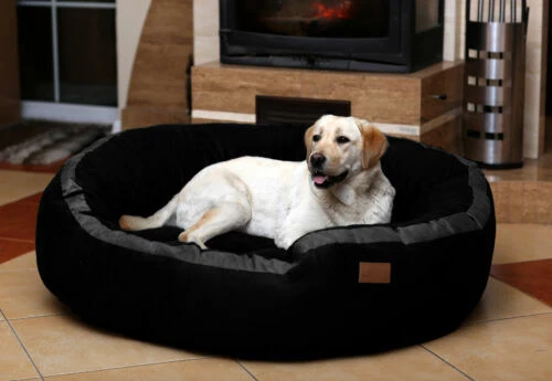 Couchage, paniers et corbeilles noirs en cuir pour chien
