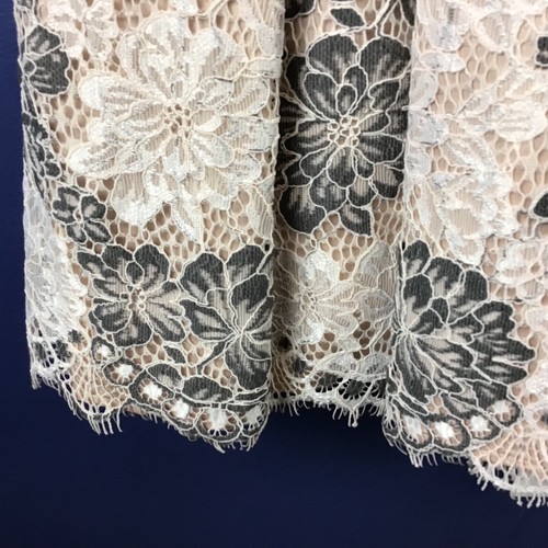 ELIZA J Sleeveless Lace Fit and Flare Dress Size 6 NWT Cream Taupe Pockets - Picture 2 of 10