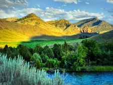 GORGEOUS LOT IN ELK BEND IDAHO FEET FROM THE FAMOUS SALMON RIVER~OWNER FIN 0%