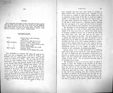 Original Old Antique Print Couch Text Pages British Fish 1862 Mullus Surmullet