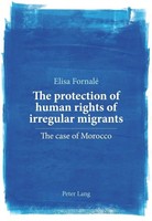 Elisa Fornalé | The Protection Of Human Rights Of Irregular Migrants | Buch