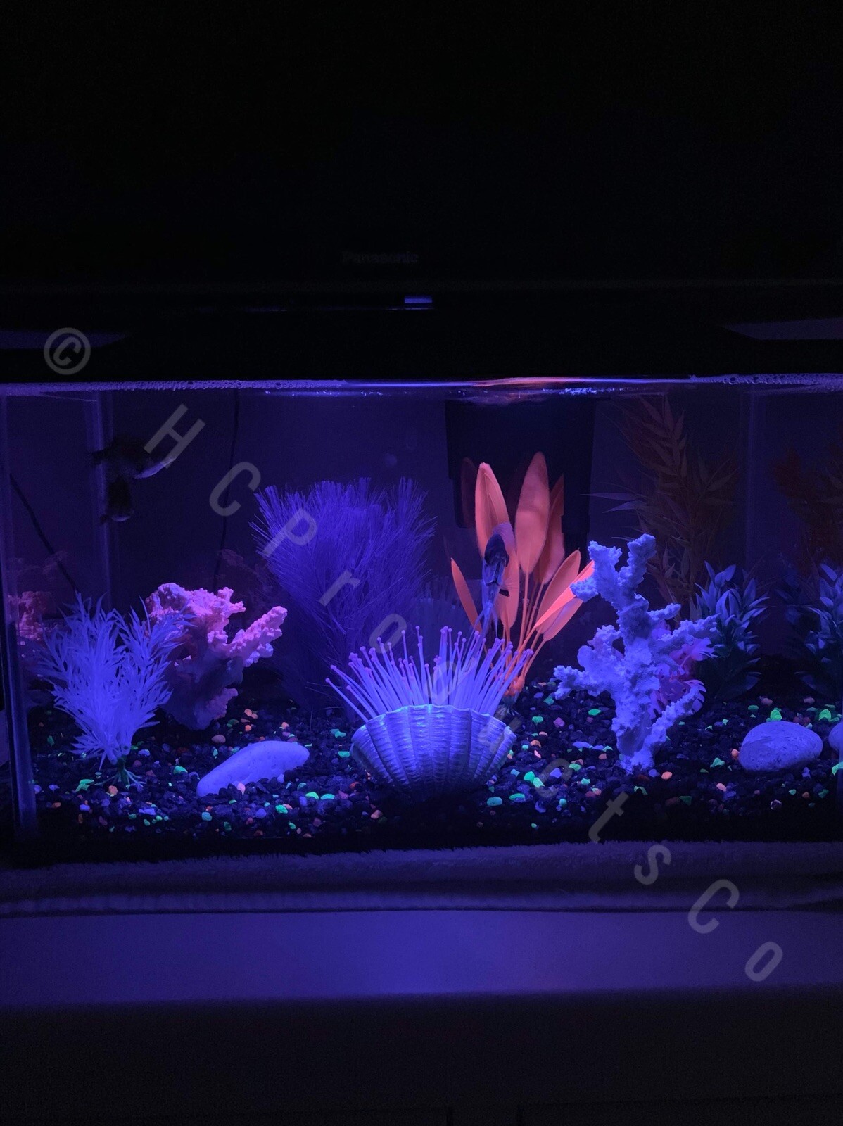 Picture 3 of 10