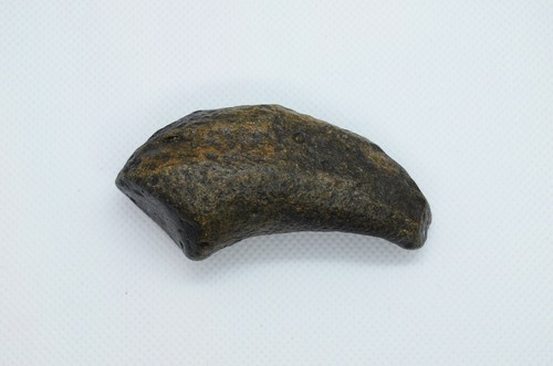 Whale Inner Ear Bone Fossilized Whale Bulla Fossil North Carolina 2.9" - Picture 3 of 10