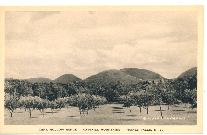 MINK HOLLOW RANGE, CATSKILL MOUNTAINS, HAINES FALLS, N.Y. ORCHARD. PRISTINE.