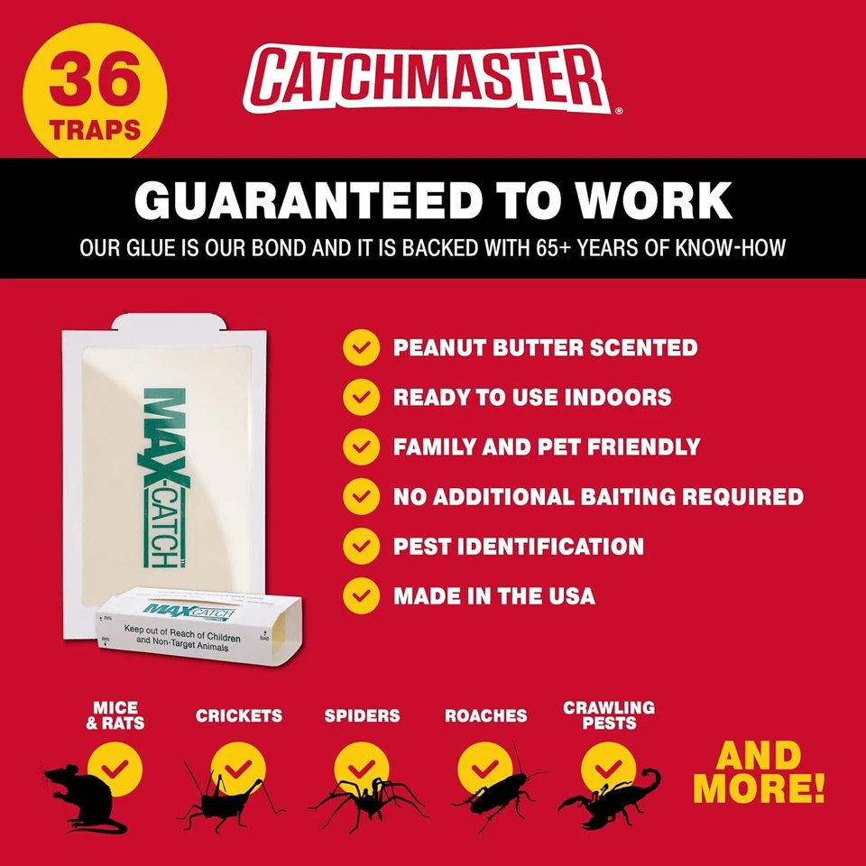 Ratones Pegamento Trampas Plagas Tablas Adhesivas Trampa Atrapa Arañas Insectos No Tóxico, 36 Unidades Foto 4 de 4