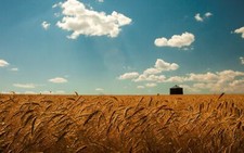 Landscape field sky summer wheat agro Custom Gaming Mat Desk