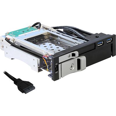 DeLOCK 5.25 Wechselrahmen für 1 x 2.5 + 1 x 3.5 SATA, schwarz
