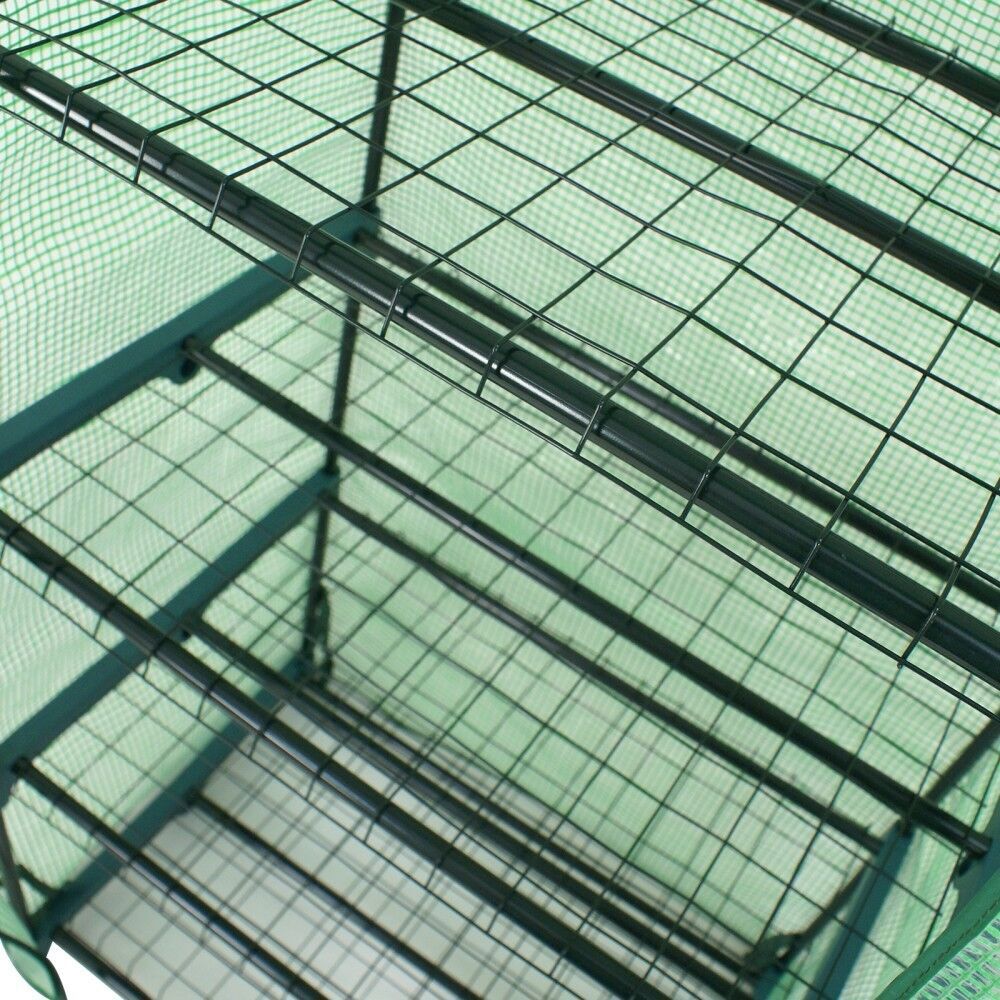 Picture 9 of 10