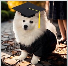 2 Pcs Dog Graduation Costume Set 2025 Dog Graduation Cap and Gown Puppy Hat with