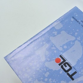 PC Engine SCD ADVANCED VARIABLE GEO V.G. Spine * 8368 pe