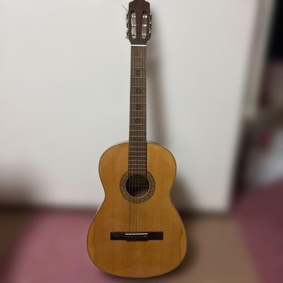 Classical Guitar Esteve 1Gr01