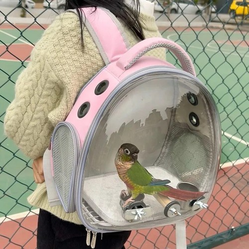 Gabbia da viaggio per uccelli animali domestici con persico per pappagallo piccolo animale zaino borsa - Foto 6 di 9