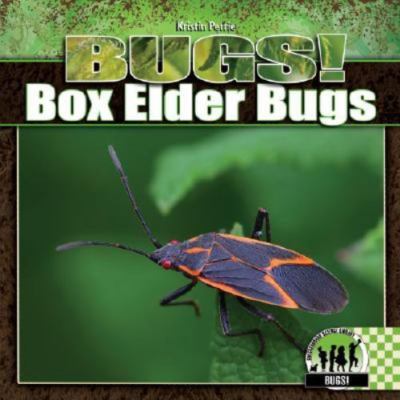Box Elder Bugs by Petrie, Kristin