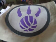 Pottery Barn Teen NBA Toronto Raptors  Basketball standard pillowcase stone