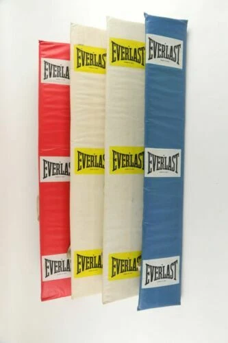 Everlast Other Boxing & MMA Equipment