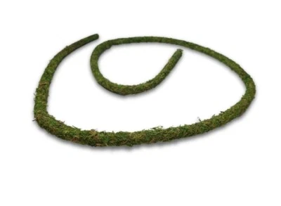 Swell Reptiles Natural Moss Cane Vine 200cm