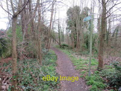 Foto 6x4 London Schleife bei Old Malden Ein Fußweg durch Wald bei Ol c2019