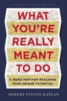 What You're Really Meant To Do | A Road Map For Reaching Your Unique Potential