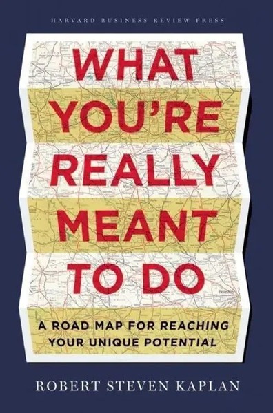 What You're Really Meant To Do | A Road Map For Reaching Your Unique Potential-image