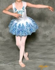 Dance Recital Ballet Dress Up Leotard Tutu Costume Curtain Call Size CLA.