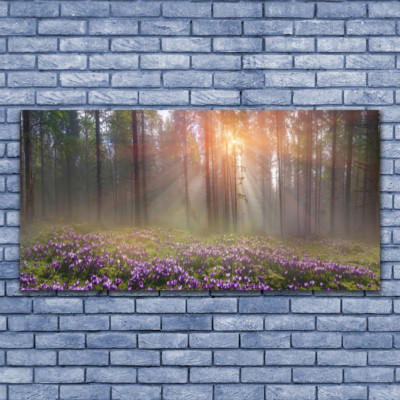 Acrylglasbilder Wandbilder aus Plexiglas  140x70 Wald Blumen Natur