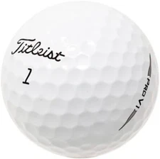 48 Titleist Pro V1 2019 Near Mint Quality Used Golf Balls AAAA In a Free Bucket!