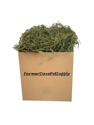 3 lb PREMIUM 2nd Cut Timothy Hay Bunny,Chinchilla Guinea Pig