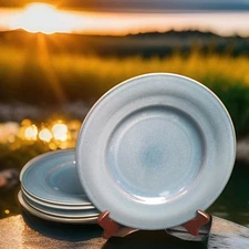 Pier 1 ALPINE BLUE Dinner Plate Solid Ironstone Brazil 10.75"W Set 5