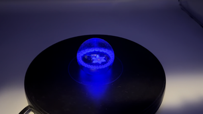 Caithness ケイスネス ペーパーウエイト DREAM FLOWER Vtg Caithness Glass Scotland Daisy September Paperweight R35811