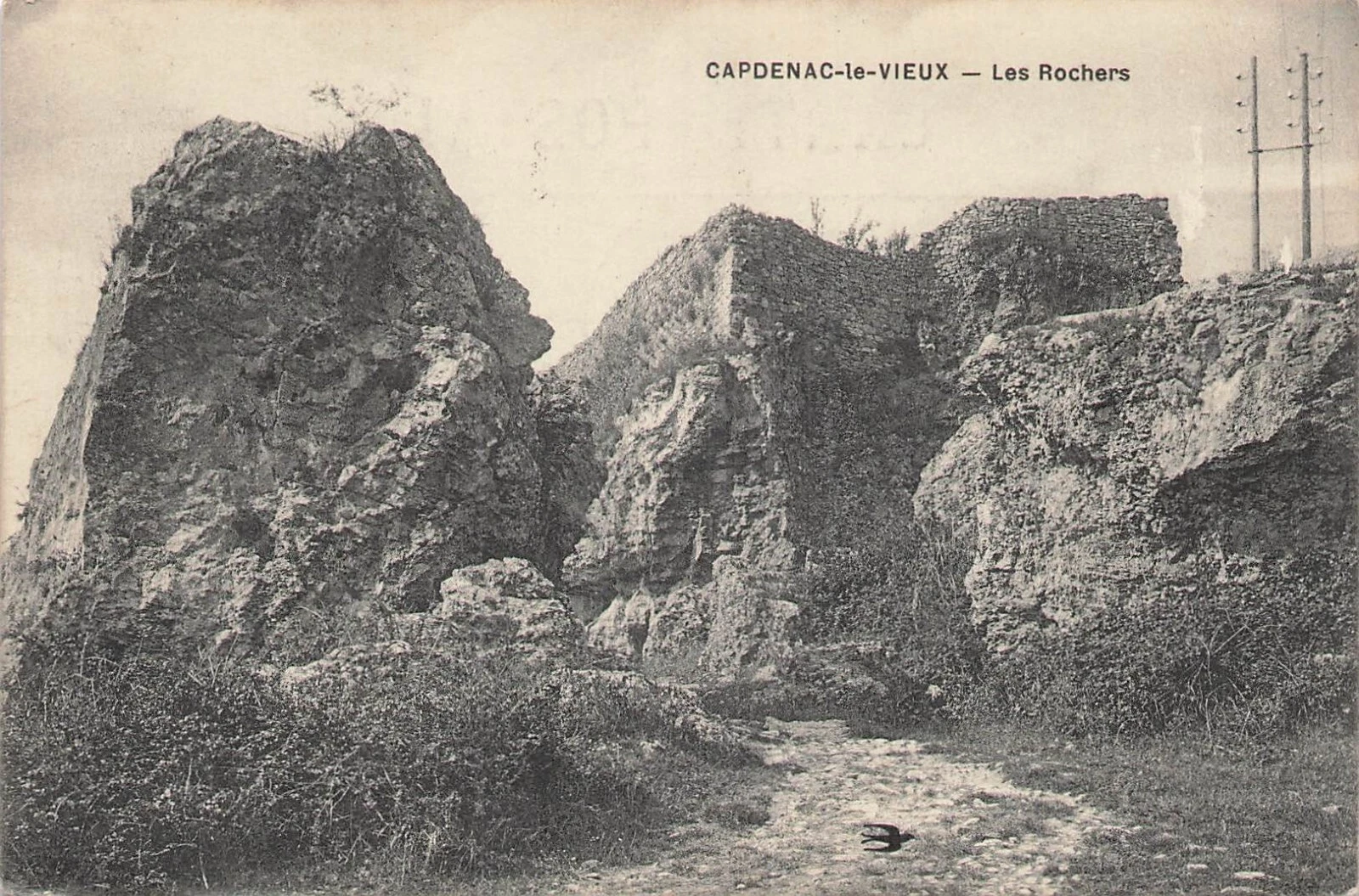 Photo 1/1