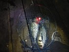 Foto 11 di 62