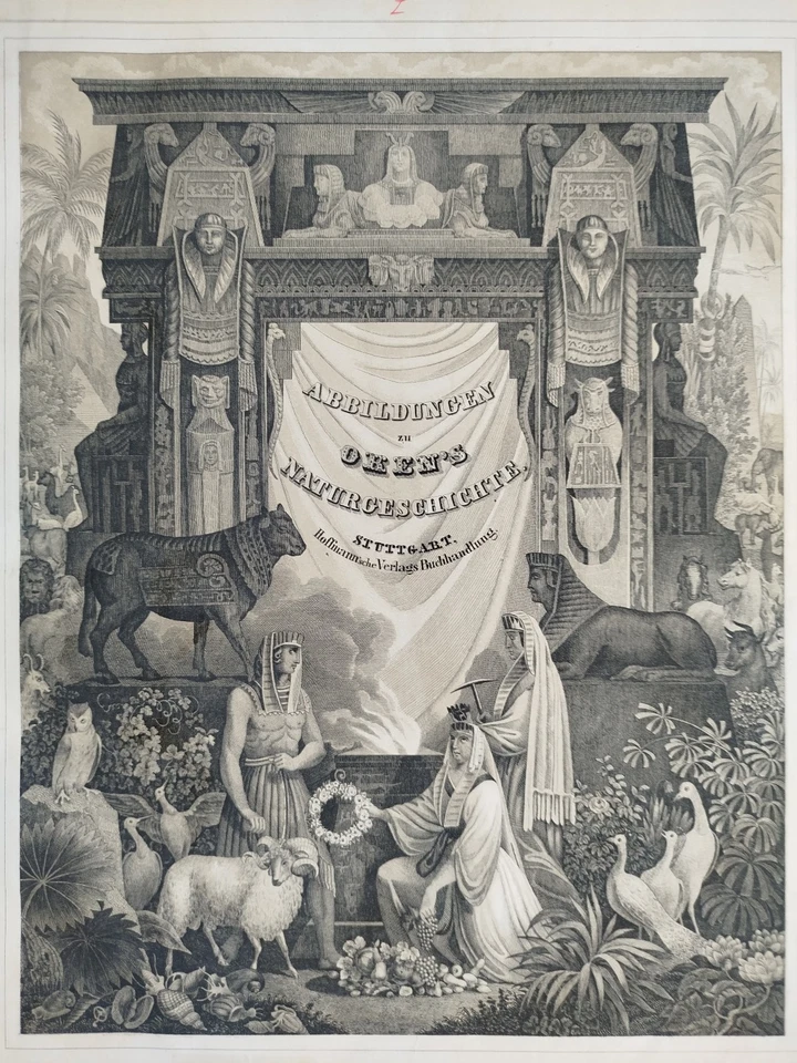 Dekoratives Titelblatt - Oken Großer Originaldruck Koloriert  Folio - 1843 - Bild 2 von 2