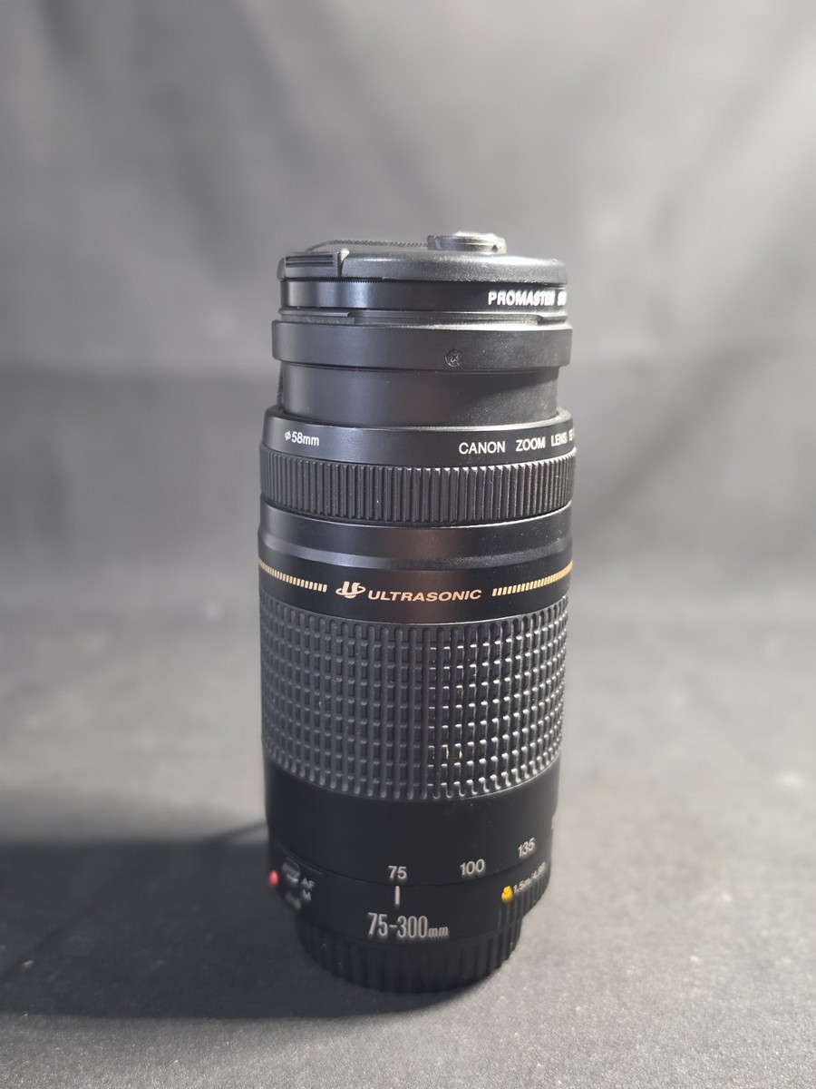 Canon 75-300mm EF 1:4-5.6 III USM Telephoto Zoom Lens Black