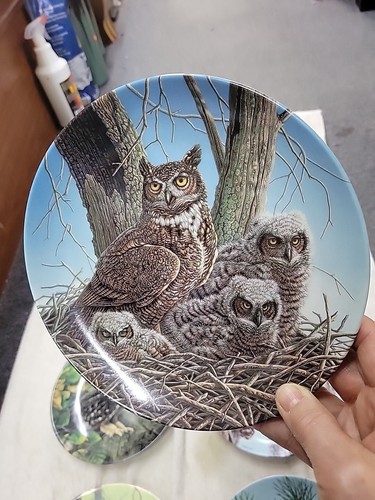 Complete Set Of 8 Edwin M Knowles China The Stately Owl Series Collector Plates - Picture 5 of 18