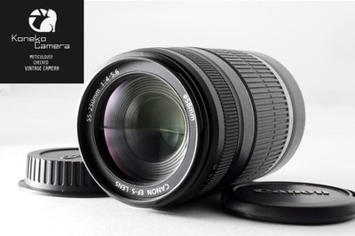 Geprüftes funktionierendes Canon EF-S 55-250 mm F/4-5.6 IS Telezoomobjektiv...