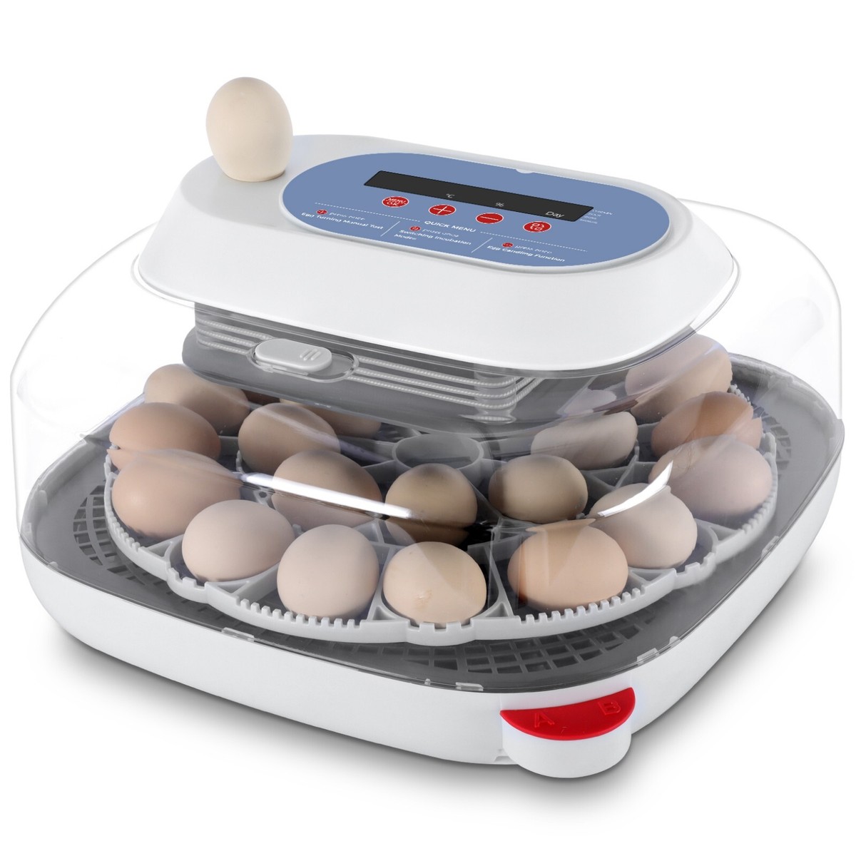 Eier Brutmaschine Günstig Kaufen