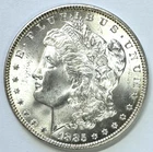 1885 Morgan Dollar, Uncertified, NR